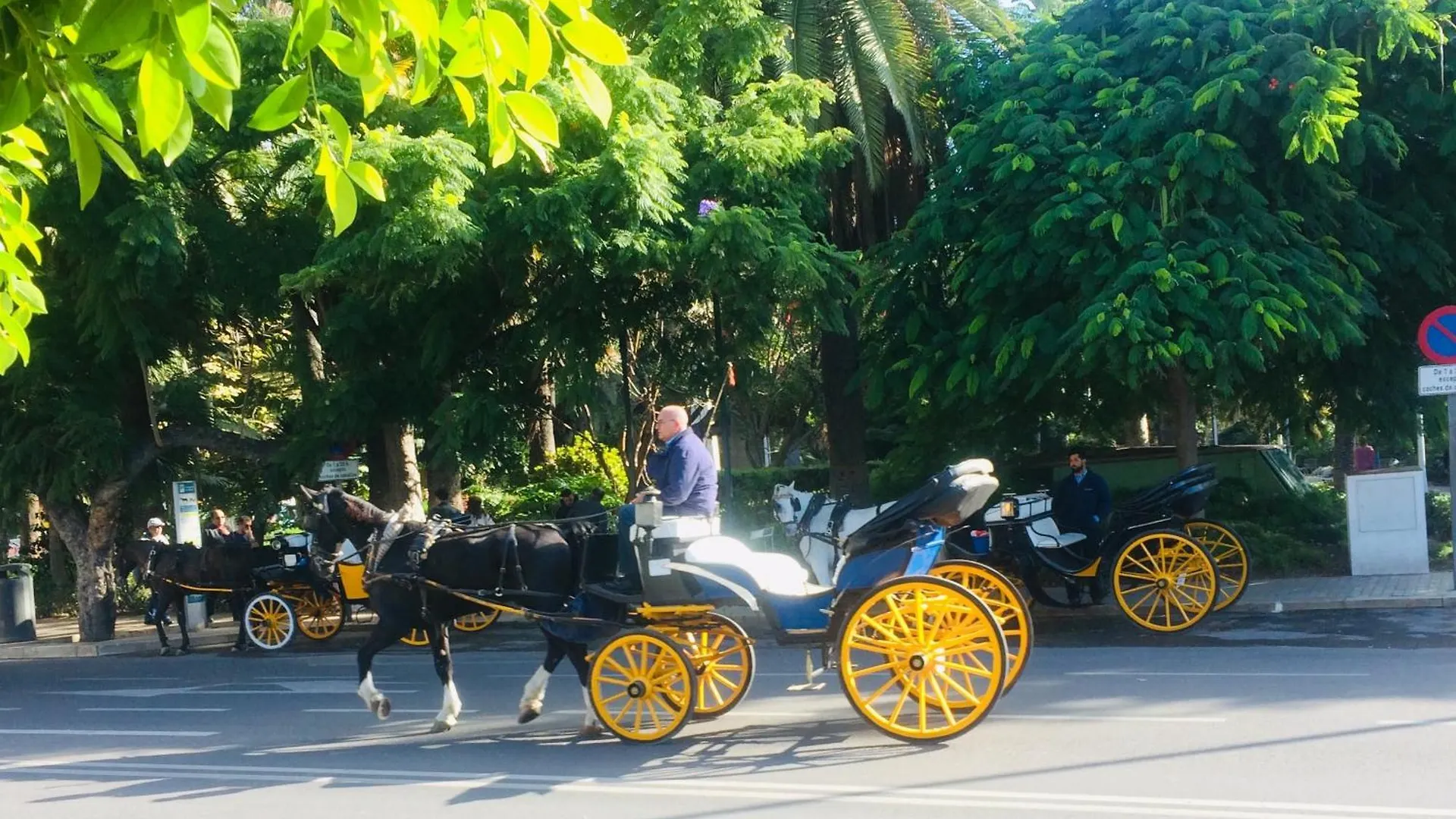 Mediterranean Suite Màlaga Prázdninový dům